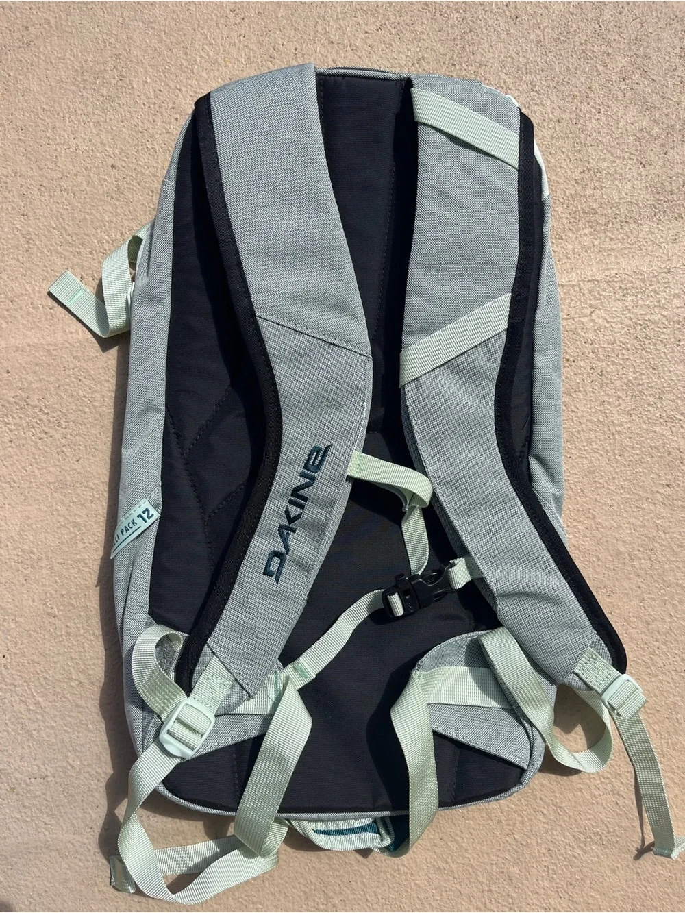 Dakine daypack streamlined